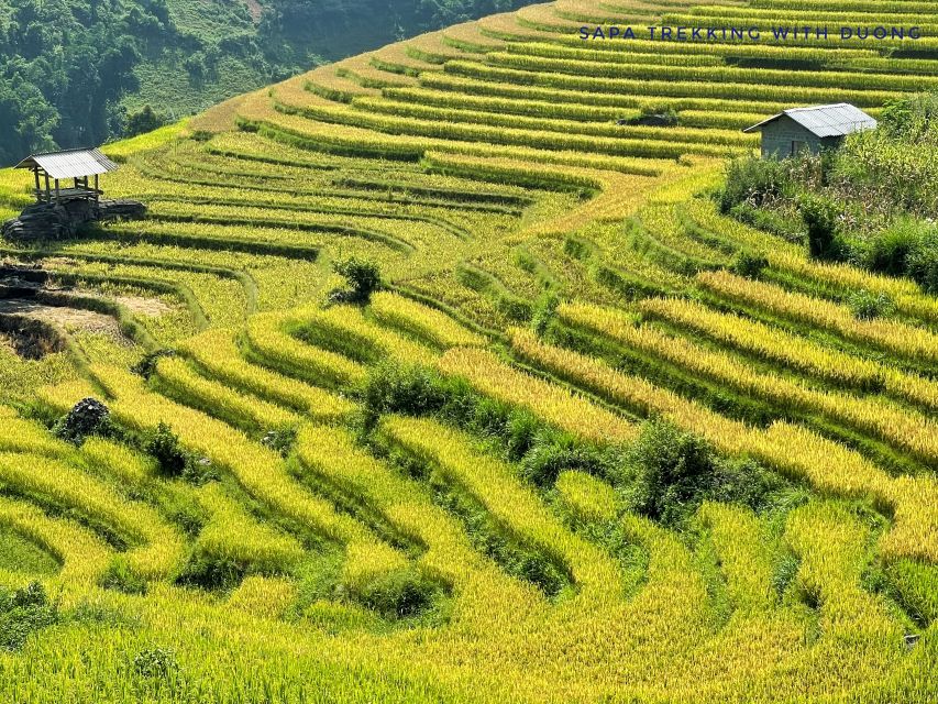 Sapa: Private Muong Hoa Valley and Homestay Trekking 2-Day - Day two: Giang Ta Chai waterfall and Hau Thau