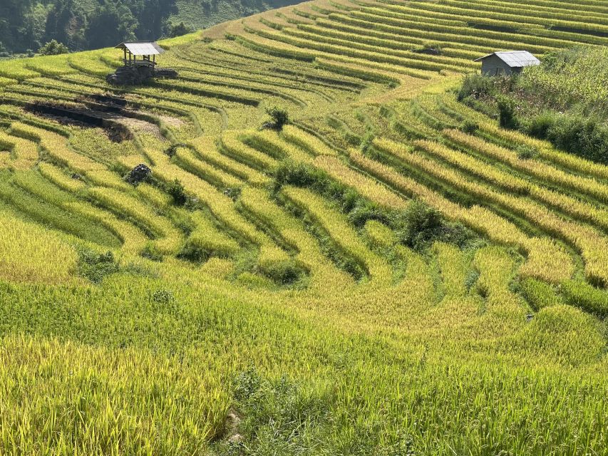 Sapa: Private Muong Hoa Valley and Homestay Trekking 2-Day - What the $78 price covers