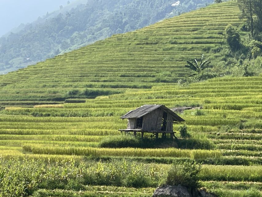 Sapa: Private Muong Hoa Valley and Homestay Trekking 2-Day - Should you book this Sapa homestay trek?