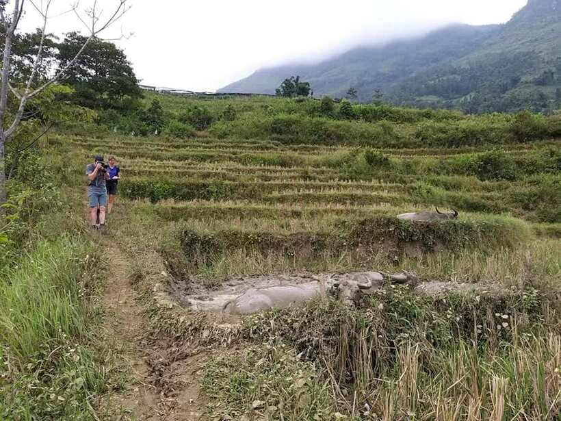 Sapa: Private trek to Muong Hoa Valley - Key points at a glance