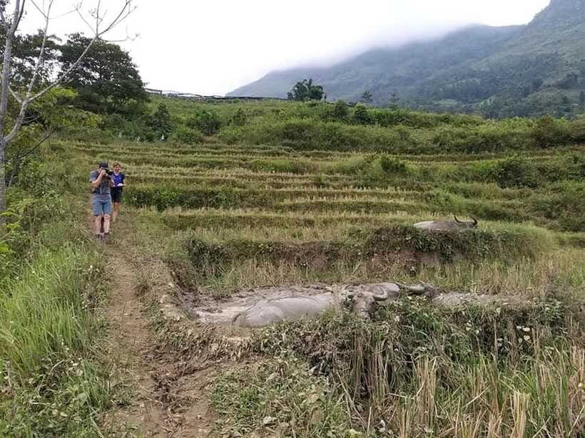 Sapa: Private trek to Muong Hoa Valley - Continuing to Ta Van and the Dzay community