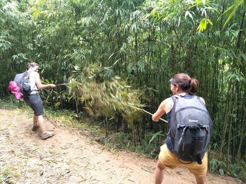Sapa: Private trek to Muong Hoa Valley - How hard is the 12-kilometer trek?