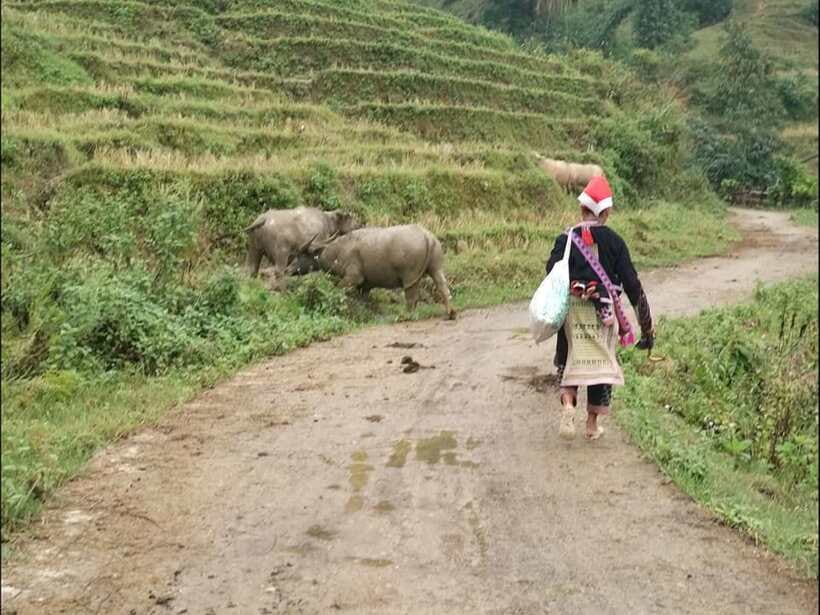 Sapa: Private trek to Muong Hoa Valley - Lao Chai and the Black Hmong villages