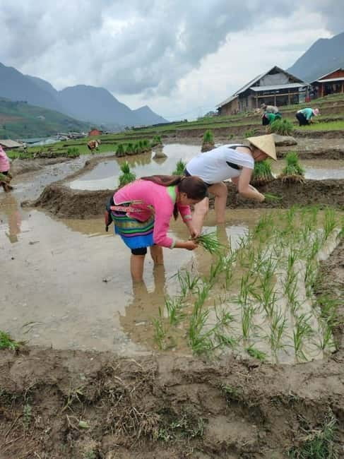 Sapa small groupe activities: 1 Day trek - Meet the locals - Key points to know before booking