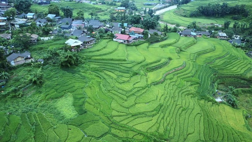 Sapa small groupe activities: 1 Day trek - Meet the locals - Rice terraces, forest paths, and open valley views
