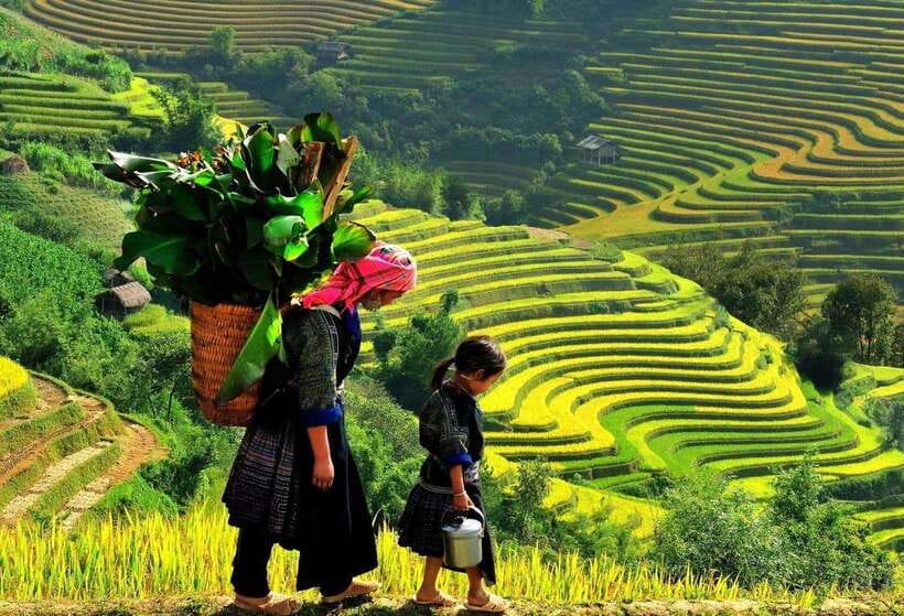 Sapa: Ta Phin Village Trek with Lunch and Bathing Experience - Rice paddies on the way to Ma Tra