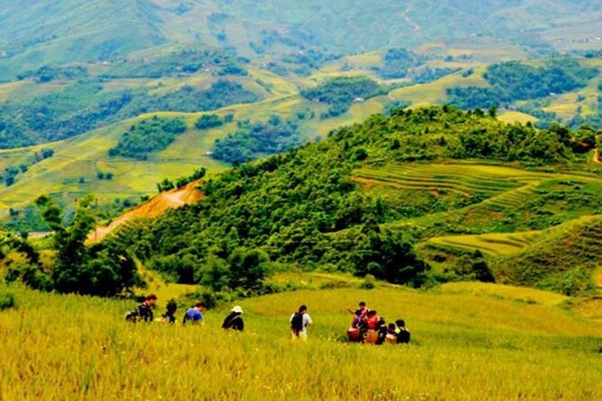 Sapa Trek 3 days 3 nights small group tour - Homestay and Hotel from Hanoi - Should you book the Sapa 3-day tour?