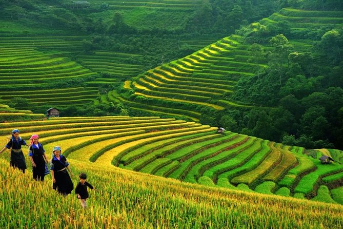 Sapa Trek Tours -2D1N Stay At 3*** -TRANSFER BY SLEEPING BUS - From Hanoi to Sapa by sleeping bus