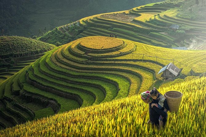 Sapa Trek Tours -2D1N Stay At 3*** -TRANSFER BY SLEEPING BUS - One night in a 3-star hotel in Sapa