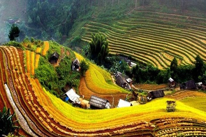 Sapa Trekking 2 Days - 1 Night, Homestay or Hotel by Sleeping Bus - Who should book this tour?