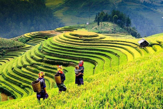 Sapa trekking 2days by bus from Hanoi ( over night in homestay) - The 7 am bus from Hanoi