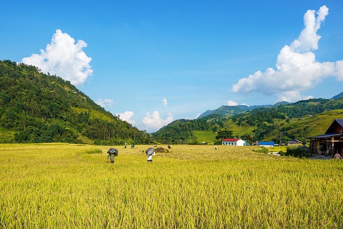 Sapa Trekking 3 Days 2 Nights (Homestay) - Departure From Hanoi - Day 3: Su Pan, Hau Thao, and the return to Hanoi