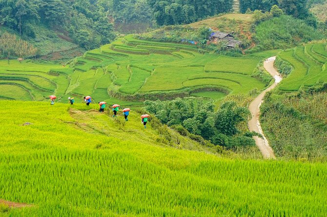 Sapa Trekking 3 Days 2 Nights (Homestay) - Departure From Hanoi - Fitness, weather, and what to pack