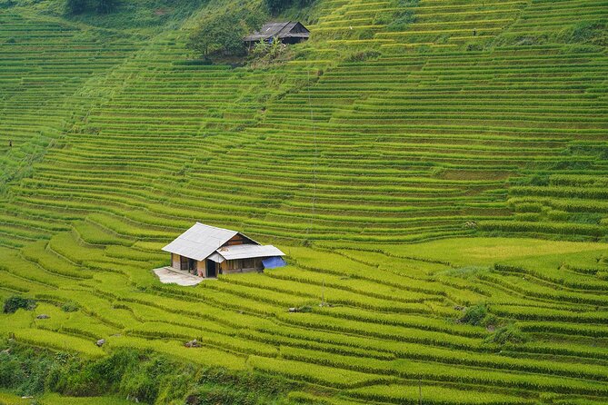 Sapa Trekking 3 Days 2 Nights (Homestay) - Departure From Hanoi - Who should book this Sapa homestay tour?