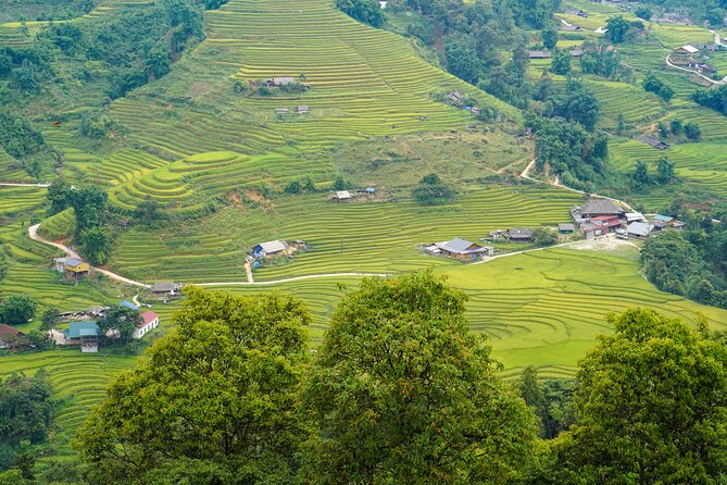 Sapa Trekking 3 Days 2 Nights (Homestay) - Departure From Hanoi - Day 1: Hanoi to Y Linh Ho and Ta Van