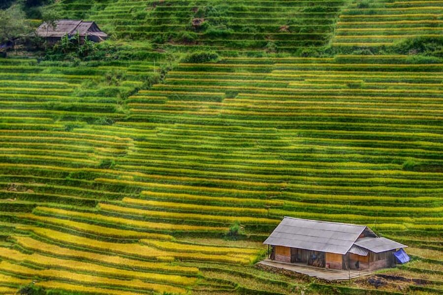 Sapa Trekking Bargains With Local Guide - Key points at a glance