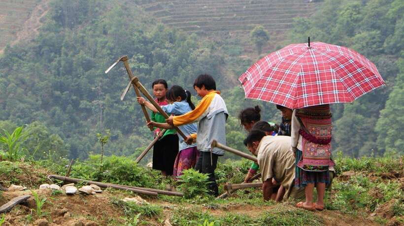 Sapa Trekking Bargains With Local Guide - Y Linh Ho: rice fields and the first real walk