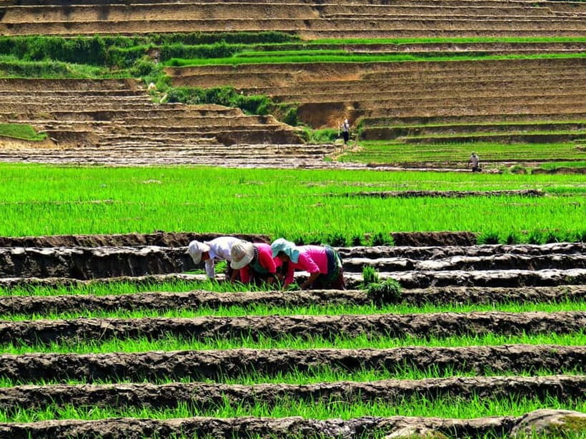 Sapa Trekking Guide Francophone 2 days – 1 night - Lunch and the walk to Lao Chai
