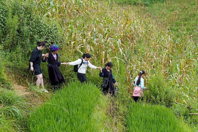 Sapa Trekking & Homestay 2 Days 1 Night - Why this Sapa trip is more than a mountain photo stop