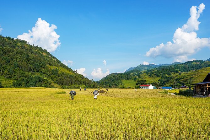 Sapa Trekking & Homestay 2 Days 1 Night - Ta Van and the Giay community