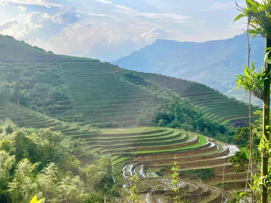 Sapa Trekking Private Tour With Ethnic Female Tour Guide - A Four-Hour Pace With Room to Adjust