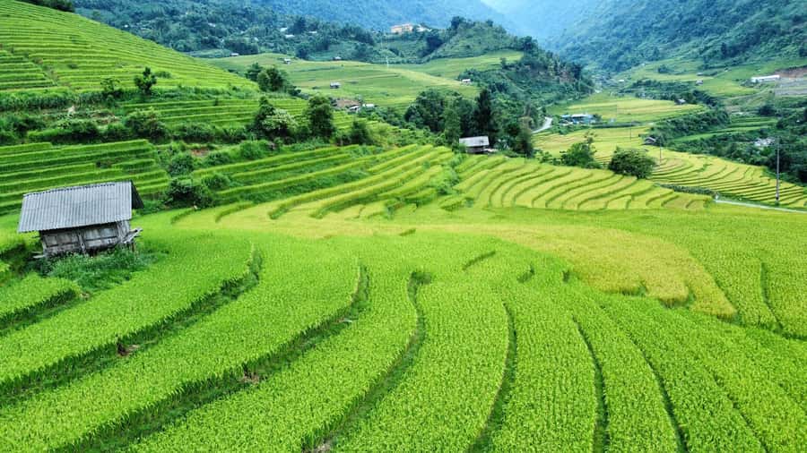 Sapa: Trekking Sapa One Day With Group Tour - Through bamboo forest to Y Linh Ho