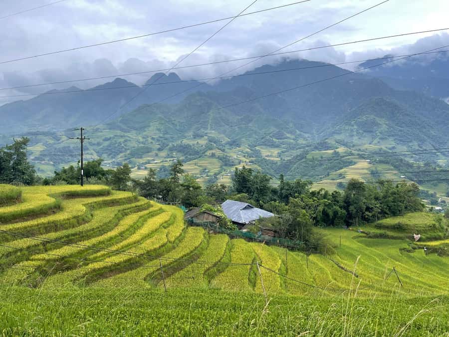 Sapa: Trekking Sapa One Day With Group Tour - Walking between Y Linh Ho and Lao Chai