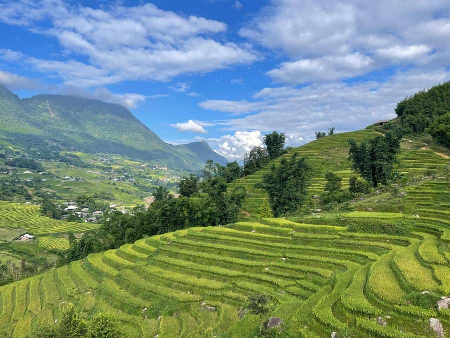 Sapa: Trekking Sapa One Day With Group Tour - A village lunch at 12:30 PM