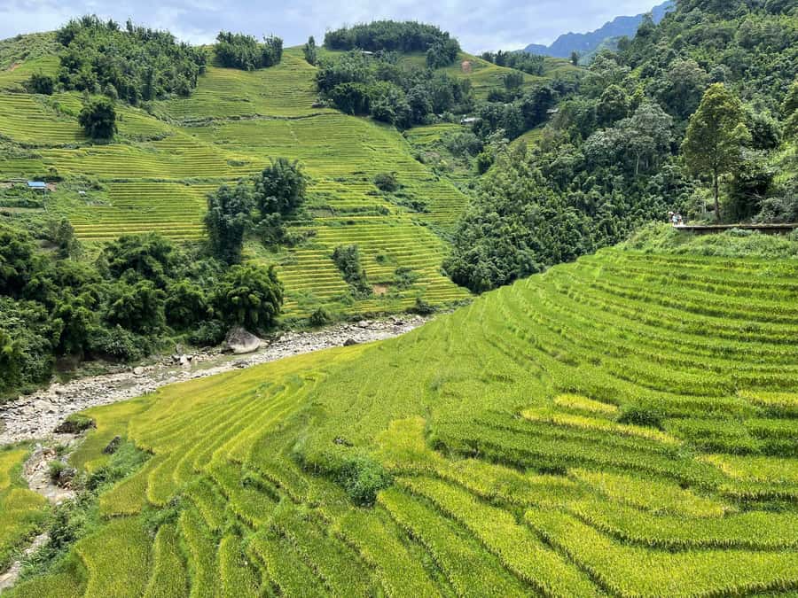 Sapa: Trekking Sapa One Day With Group Tour - The gentler route to Ta Van