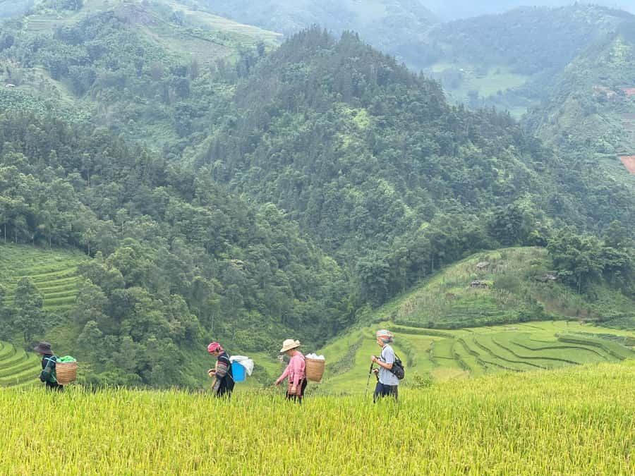 Sapa: Trekking Sapa One Day With Group Tour - Meeting your guide at Sapa Cathedral