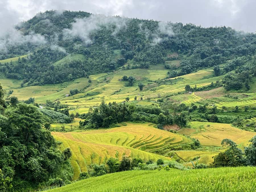 Sapa: Trekking Through Terraced Rice Fields & Valley 1 Day - Practical advice for a smoother walk