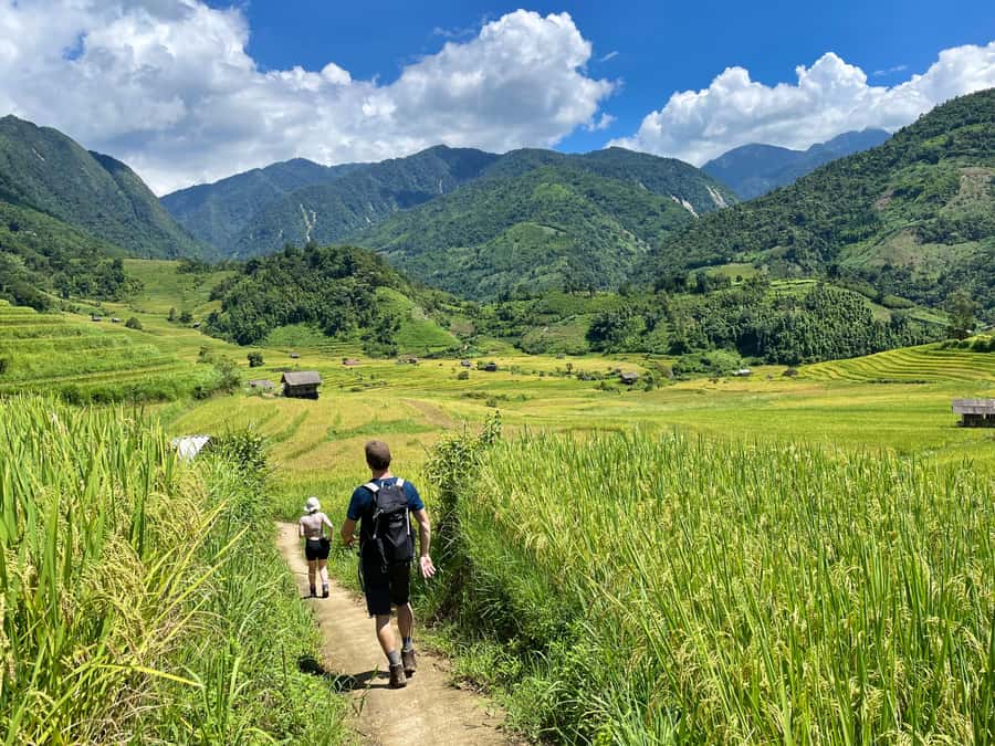 Sapa: Trekking Through Terraced Rice Fields & Valley 1 Day - Why this six-hour walk works well in Sapa
