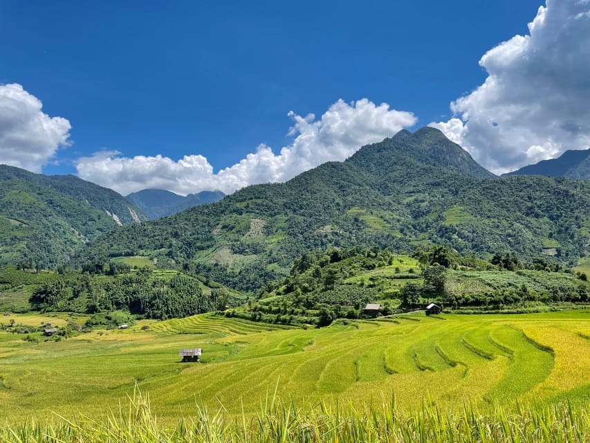 Sapa: Trekking Through Terraced Rice Fields & Valley 1 Day - Lao Chai Village and Hmong textile traditions