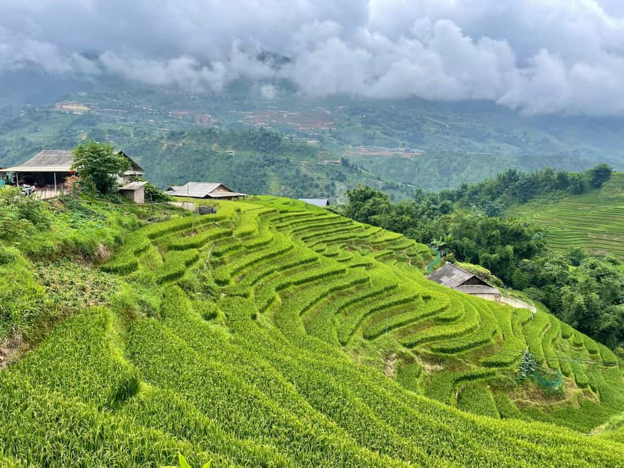 Sapa: Trekking Through Terraced Rice Fields & Valley 1 Day - Ta Van and the meeting of three cultures
