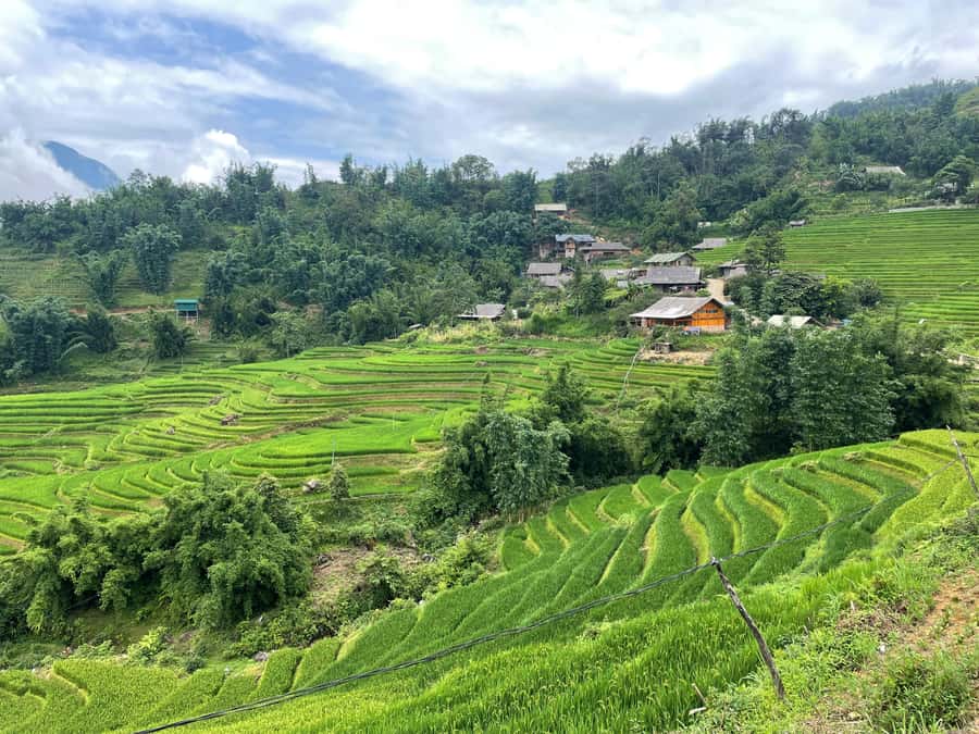 Sapa: Trekking Through Terraced Rice Fields & Valley 1 Day - Who should book this Sapa trek