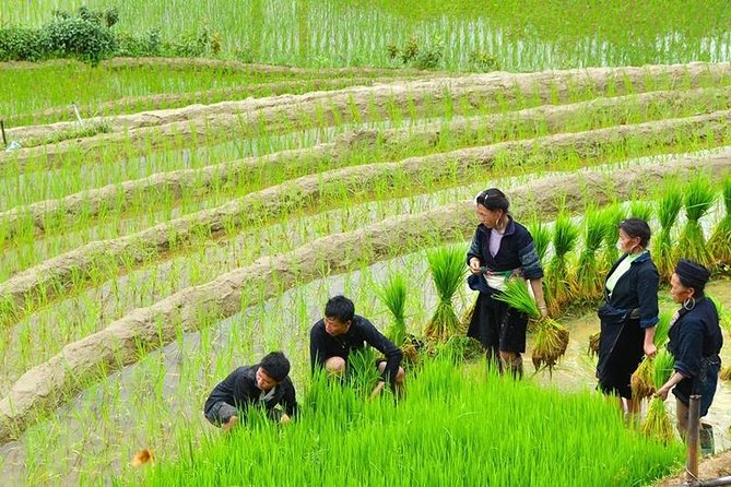 Sapa Trekking Tour 2 Days 1 Night By Bus - What the village visits really offer