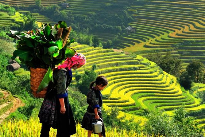 Sapa Trekking Tours - 2 Days 1 Night Stay At Homestay - Key points to know before booking