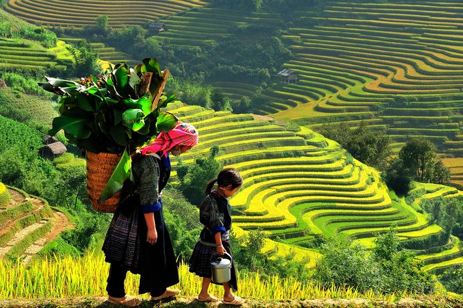 Sapa Trekking Tours - 2 Days 1 Night Stay At Homestay - The early start and bus ride from Hanoi