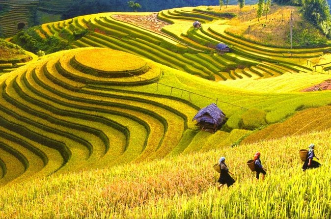 Sapa Trekking Tours - 2 Days 1 Night Stay At Homestay - What the guides add to the trip