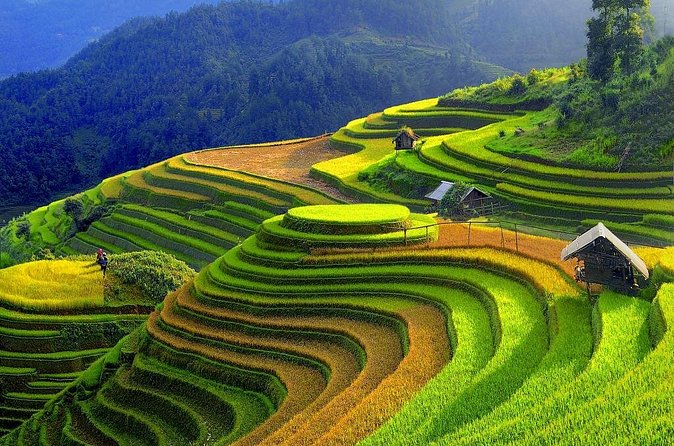 Sapa Trekking Tours - 2 Days 1 Night Stay At Homestay - What $109 includes, and where value appears