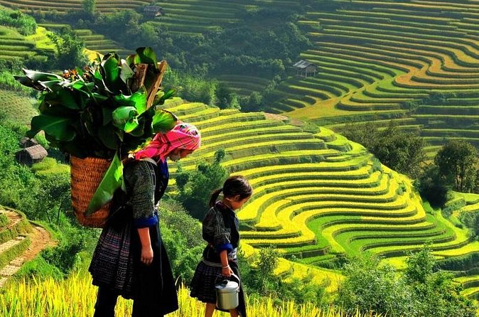 Sapa Trekking Tours - 2 Days 1 Night Stay At Homestay - Who should book this Sapa experience