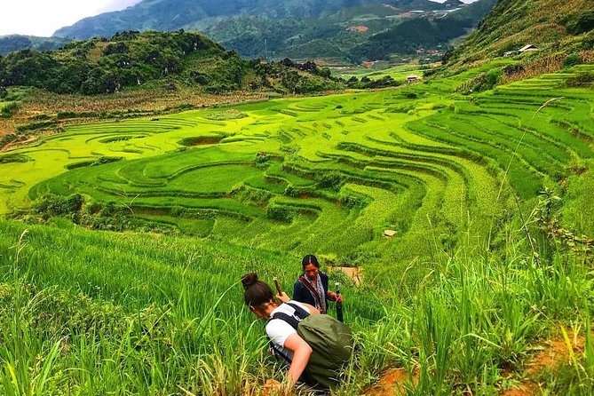 Sapa trekking - Unique Route - 2D1N - What $116.93 buys you