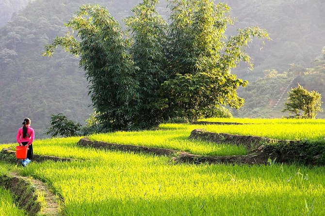 Sapa Valley Trek and Homestay - 3D2N - Day 1: From Sapa toward Y Linh Ho and Ta Van