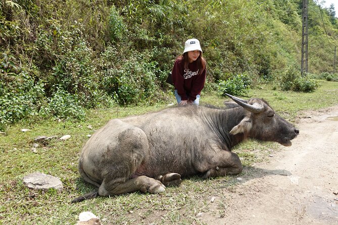 Sapa Valley Trek and Homestay - 3D2N - Homestay life, meals, and comfort