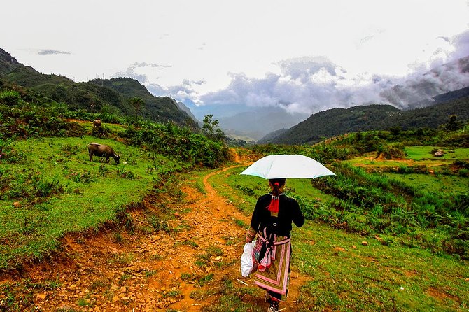 Sapa Valley Trek and Homestay - 3D2N - Who should book this Sapa trek?