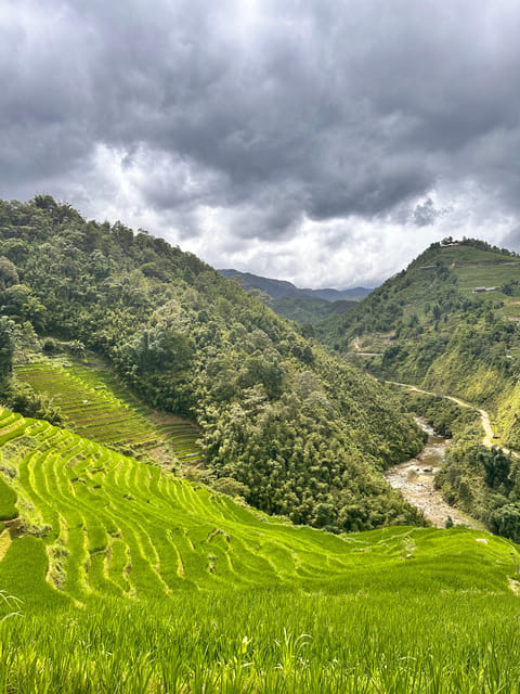 Sapa3D2N TrekkingAdventures,Valleys,Bambooforest,Waterfall - Rice terraces and the Muong Hoa River close the trip