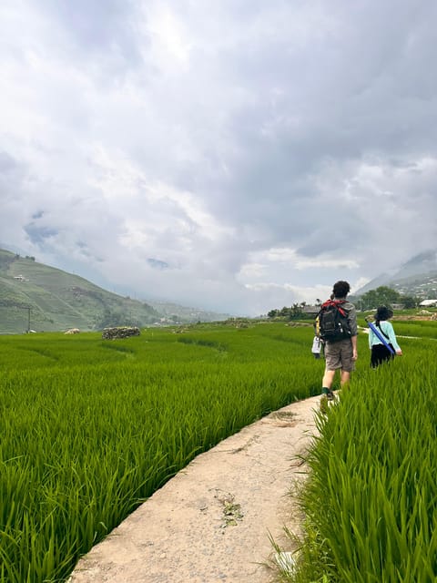 Sapa3D2N TrekkingAdventures,Valleys,Bambooforest,Waterfall - The walking is rewarding, but it is still serious