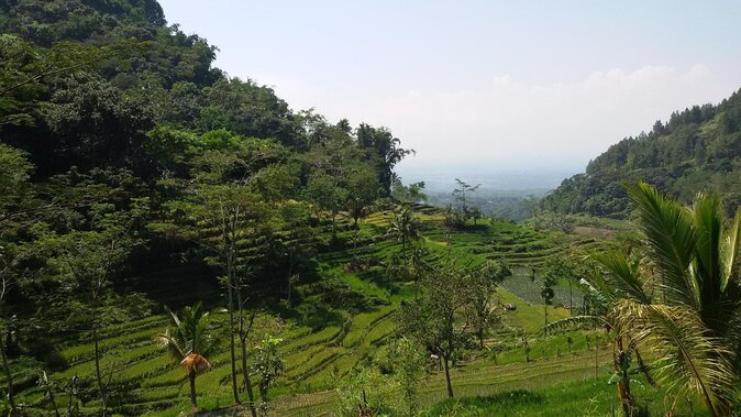 Selogriyo Temple and Trekking Java Rice Terraces, hidden waterfall -Nature Java - Key points to know before you book