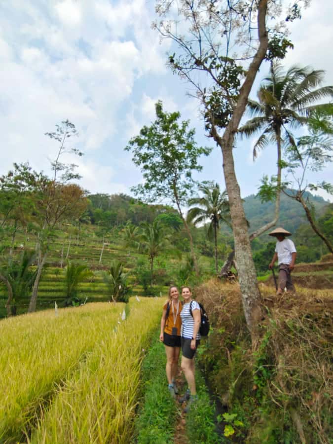 Selogriyo Temple, treking Java Rice Terrace & waterfall - Key points to know before you book