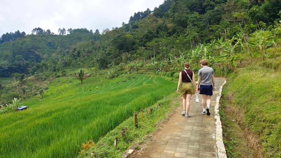 Selogriyo Temple, treking Java Rice Terrace & waterfall - Practical packing advice for the rice fields and waterfall